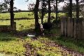 Ireland031.jpg